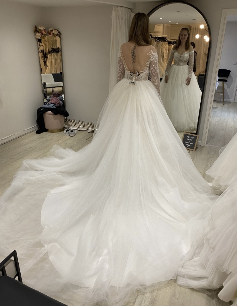 Milla Nova Ballgown, Beaded Sequined Mesh Top with Glittery Dress Layers