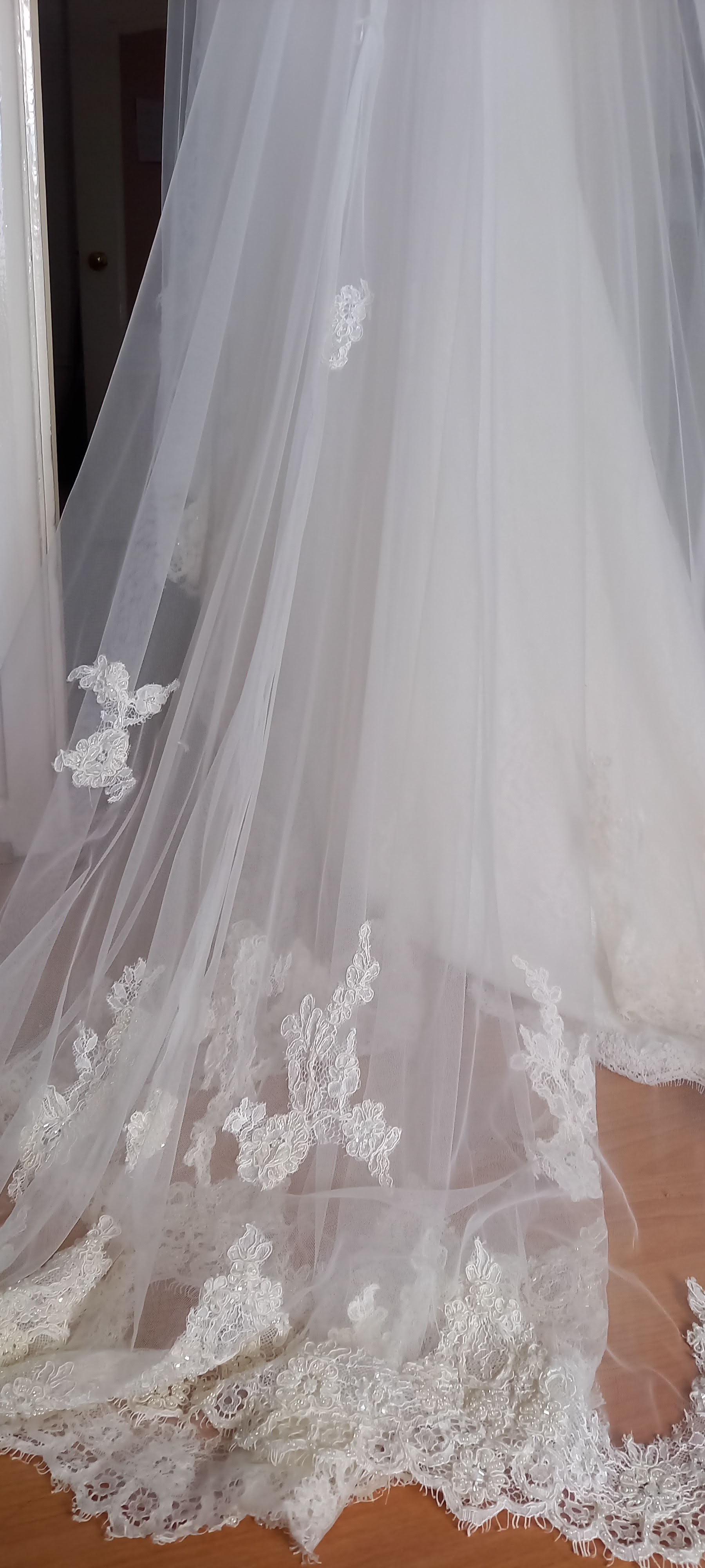 Annasul-L wedding dress and cathedral veil