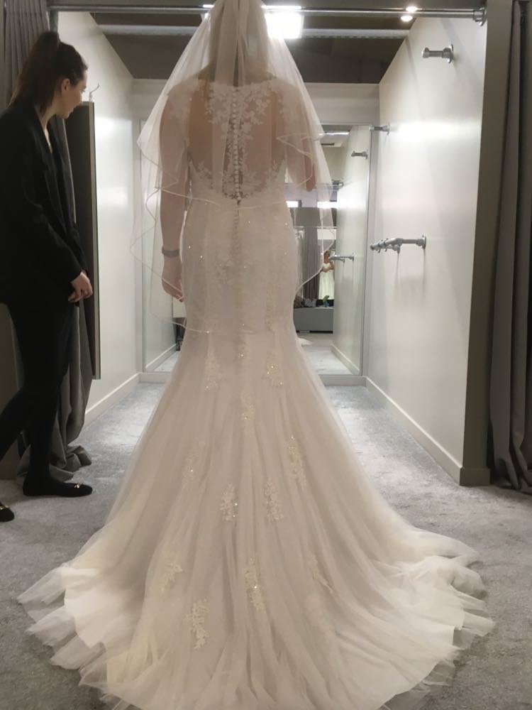 Ivory, sparkle, fishtail with button back