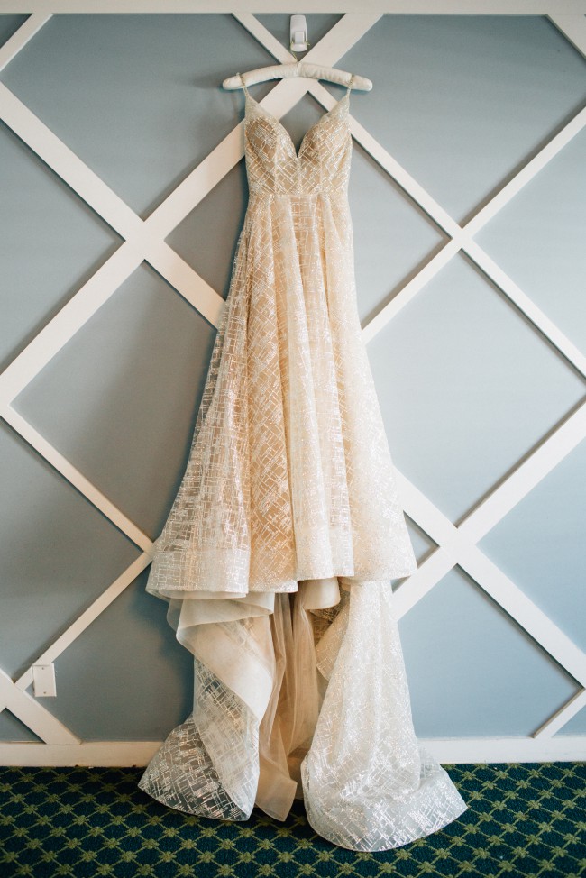 Gorgeous Blush Pink Lazaro Dress